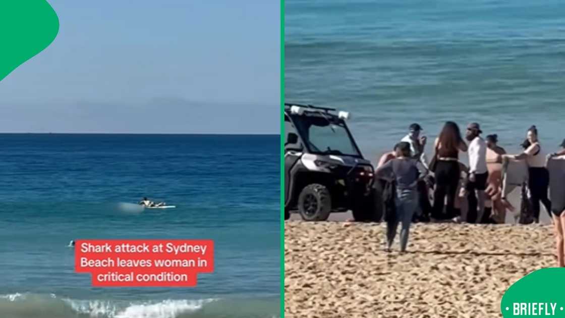 Emergency responders and witnesses assembling on the sandy shoreline following an emergency on the water on the right Emergency responders and witnesses assembling on the sandy shoreline following an emergency on the water on the right