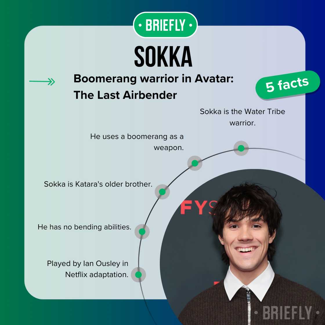 Facts about Sokka on Avatar: The Last Airbender Facts about Sokka on Avatar: The Last Airbender