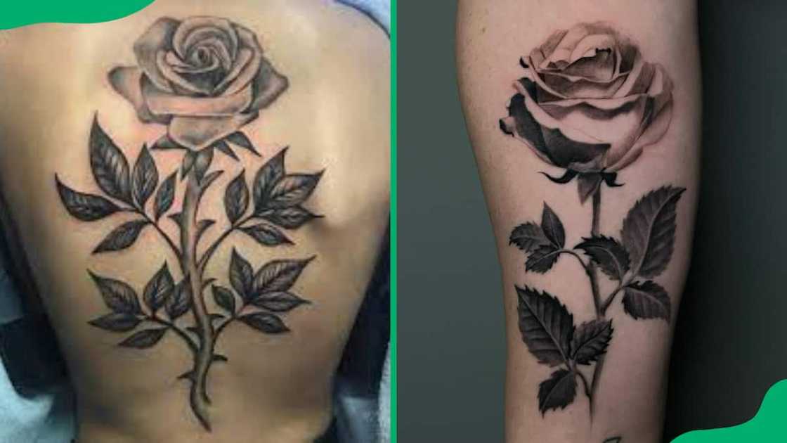Rose and leaves tattoo Rose and leaves tattoo