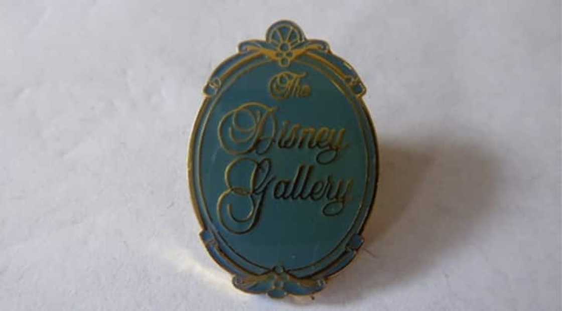 The Disney Gallery logo pin The Disney Gallery logo pin