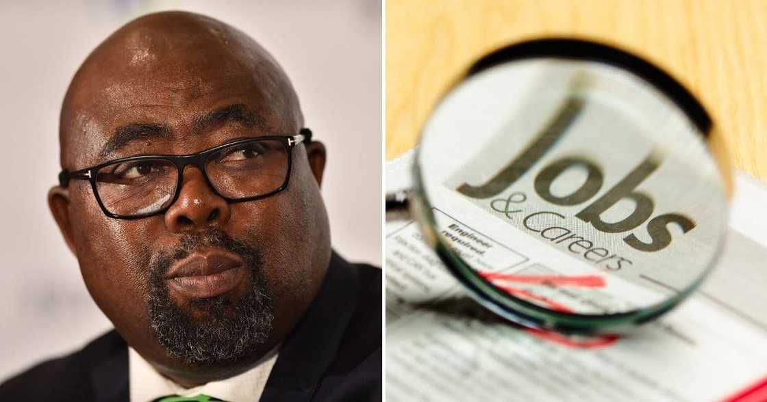 Job fair 2020, China-SA, job opportunities, Unemployed youth, employment and labour minister, international relations Job fair 2020, China-SA, job opportunities, Unemployed youth, employment and labour minister, international relations