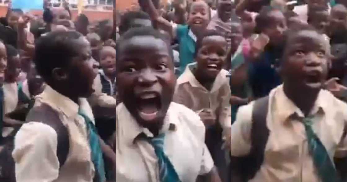 "Another Julius Malema": Short Clip of Fierce Kid Goes Viral in SA "Another Julius Malema": Short Clip of Fierce Kid Goes Viral in SA