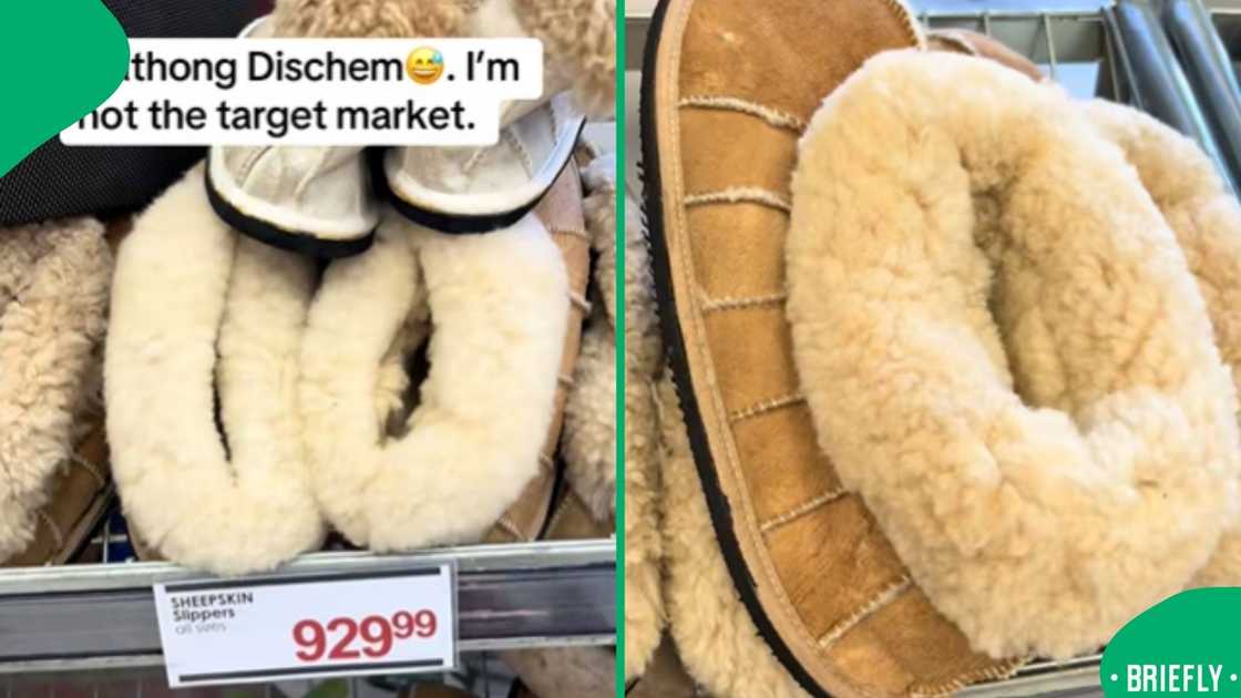 Dischem's viral slippers, now an iconic symbol of Mzansi's economic debate Dischem's viral slippers, now an iconic symbol of Mzansi's economic debate