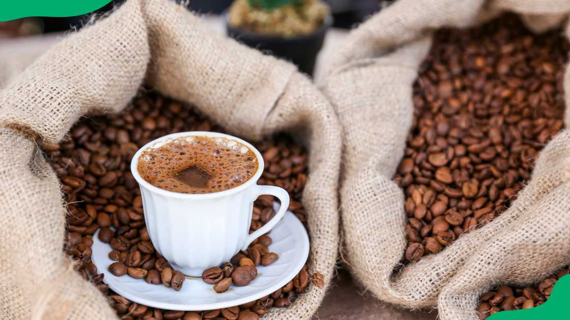 most expensive coffee most expensive coffee