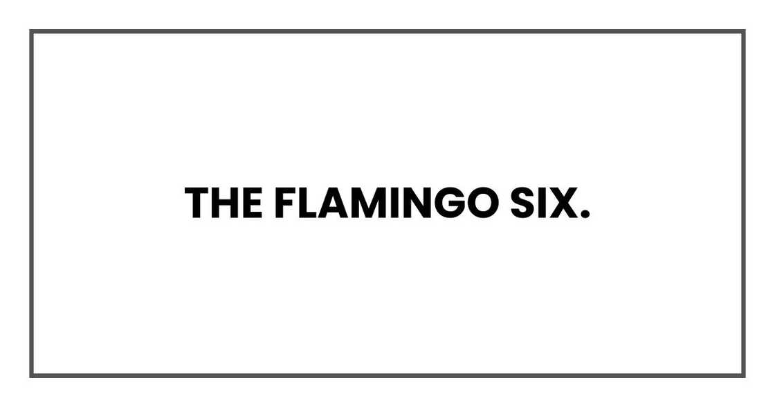 The Flamingo Six. The Flamingo Six.