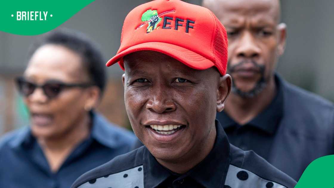 Julius Malema, Economic Freedom Fighters, EFF