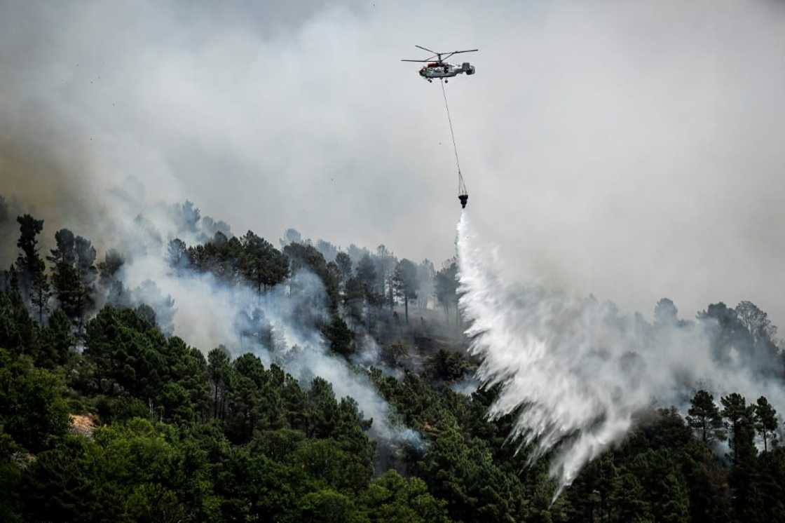 Western Europe had experienced record fire activity so far in 2022