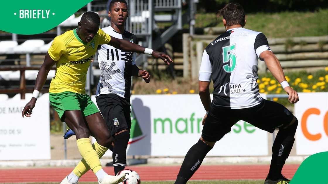 Kaizer Chiefs sign Portuguese forward Flavio Silva for free from Indonesia.
