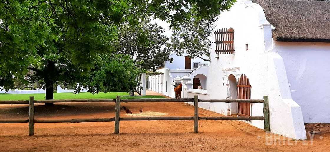 Babylonstoren was changed into a vineyard and farm Babylonstoren was changed into a vineyard and farm