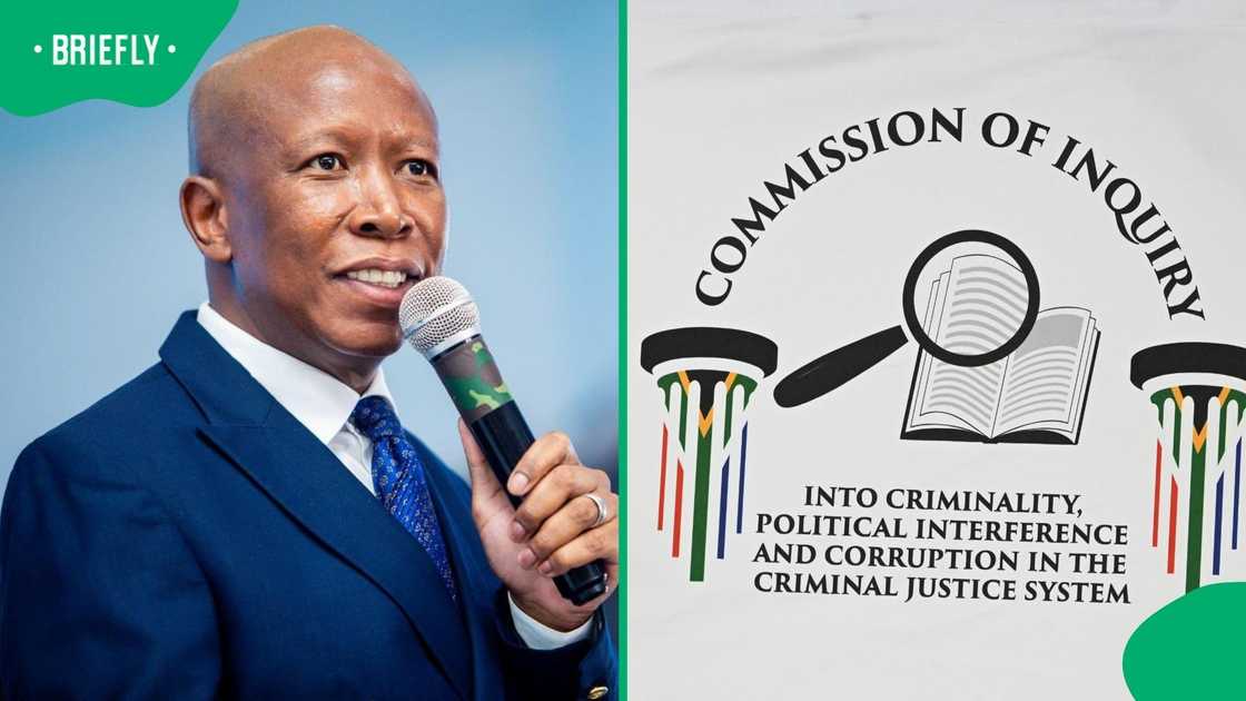 A witness at the Madlanga Commission of Inquiry alleged that Julius Malema has ties to the underworld A witness at the Madlanga Commission of Inquiry alleged that Julius Malema has ties to the underworld