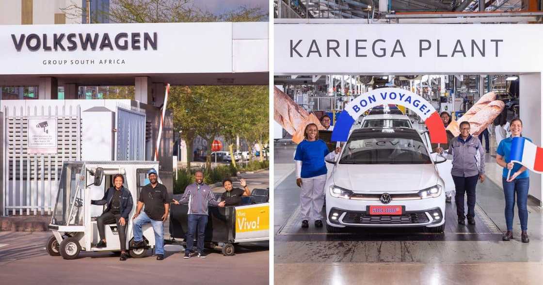 people plant tour kariega people plant tour kariega