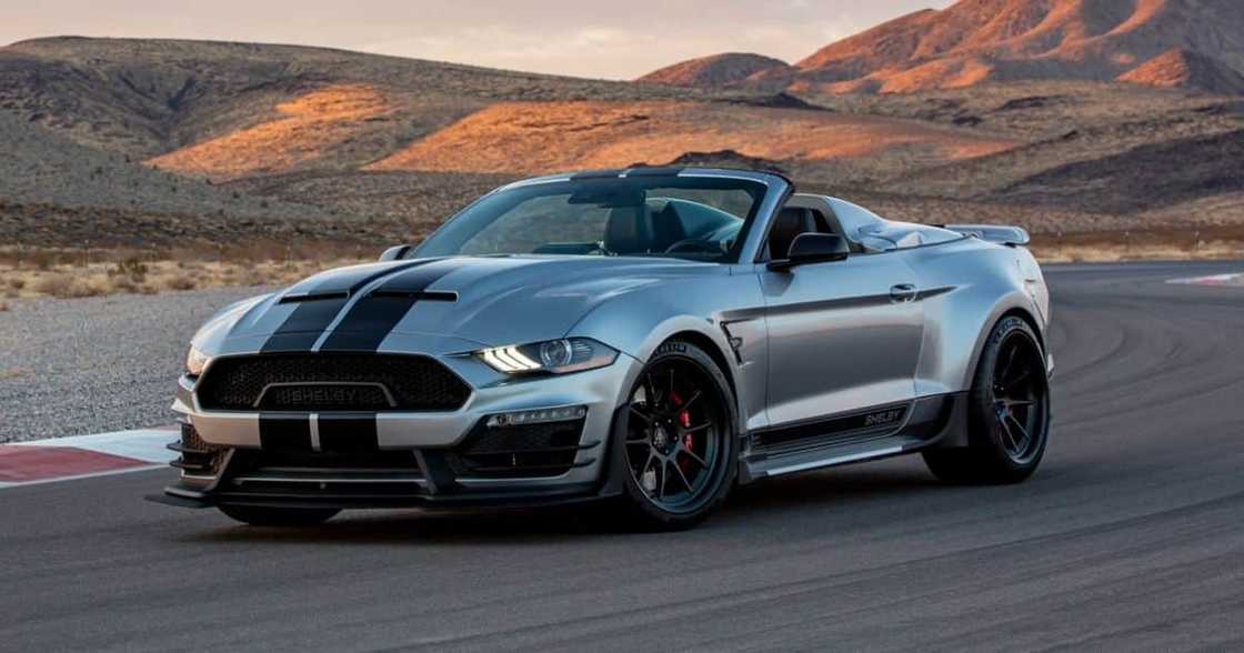 Shelby Speedsters, South Africa, Ford Shelby Speedsters, South Africa, Ford