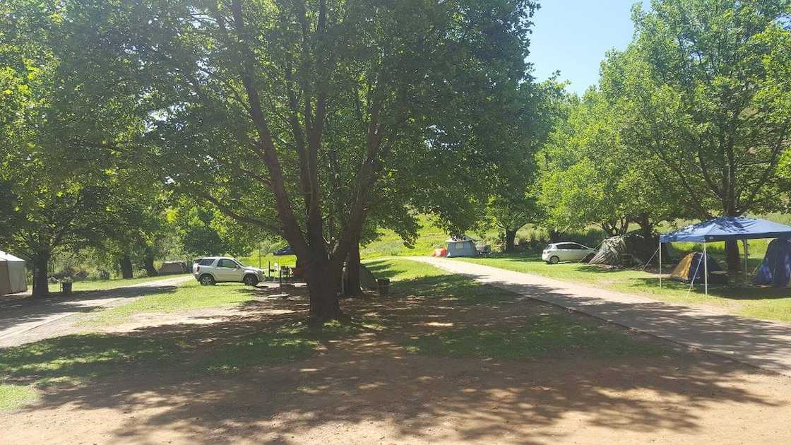 camping in Gauteng camping in Gauteng