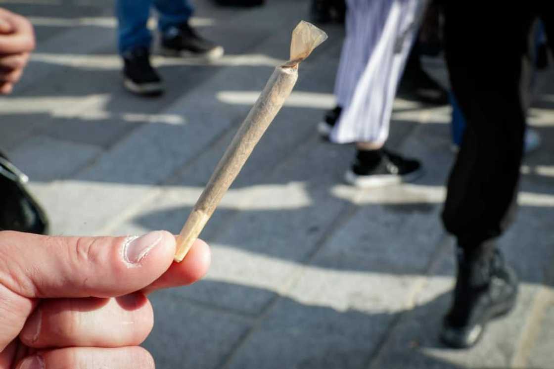 Weed smokers say metro tickets are useful for a different kind of trip Weed smokers say metro tickets are useful for a different kind of trip