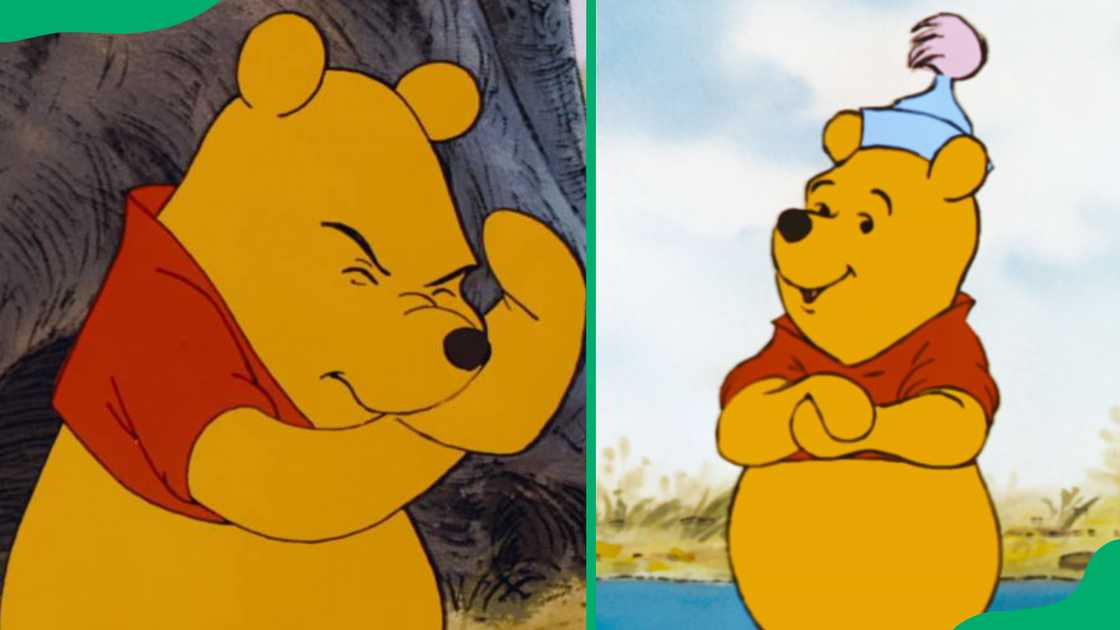 Winnie the Pooh from Winnie the Pooh.