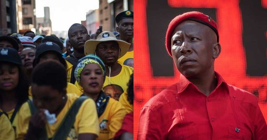 ANC supporters, EFF, Julius Malema, block, registration