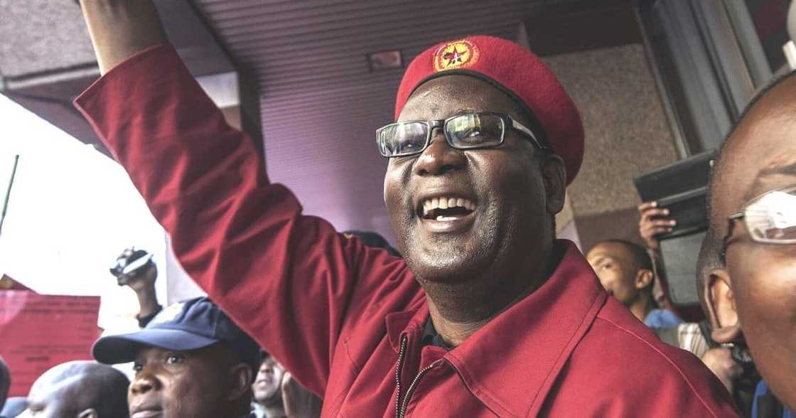 Zwelinzima Vavi, re-elected, Saftu, suspension, general secretary Zwelinzima Vavi, re-elected, Saftu, suspension, general secretary
