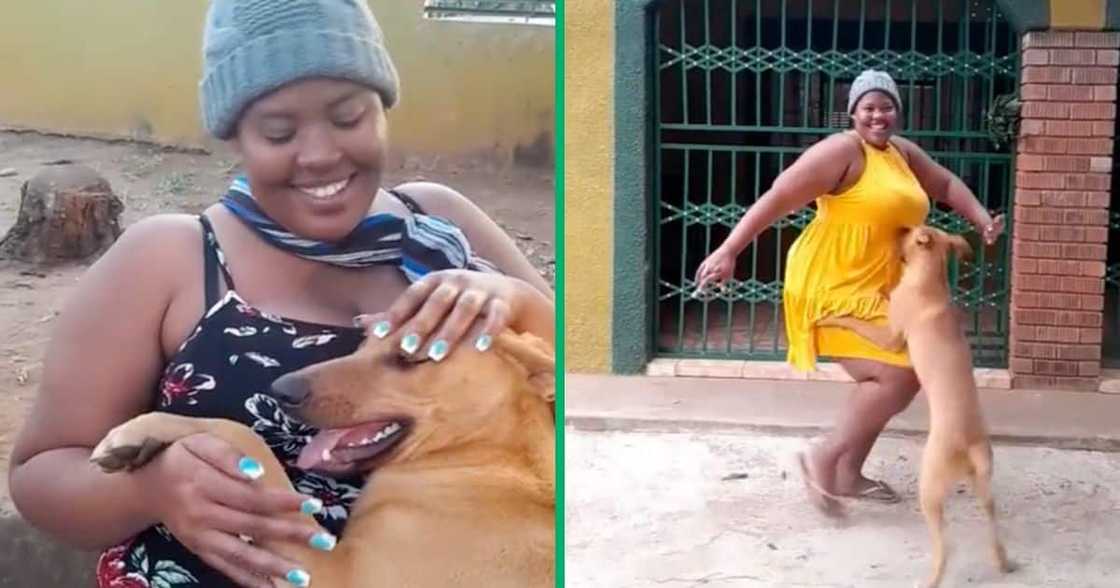 Woman from Mpumalanga gets interupted by her dog while dancing. Woman from Mpumalanga gets interupted by her dog while dancing.