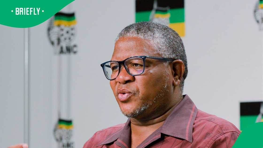 Fikile Mbalula Surprised DA Is Still Part of GNU, Unhappy With the Party’s Continued Objections Fikile Mbalula Surprised DA Is Still Part of GNU, Unhappy With the Party’s Continued Objections
