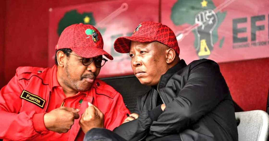 Julius Malema, ANC, EFF, Local elections Julius Malema, ANC, EFF, Local elections