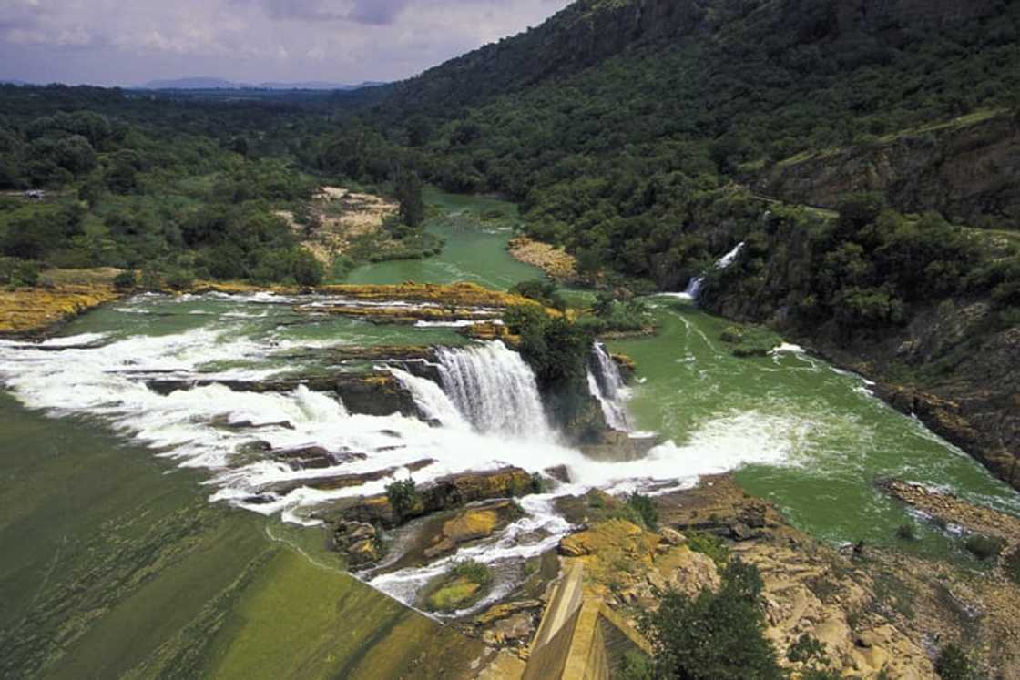 How much is the entrance fee at Snake Park at Hartbeespoort? How much is the entrance fee at Snake Park at Hartbeespoort?