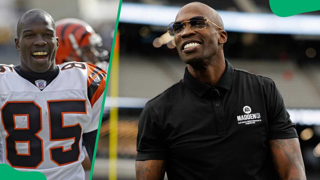 Chad Johnson's net worth