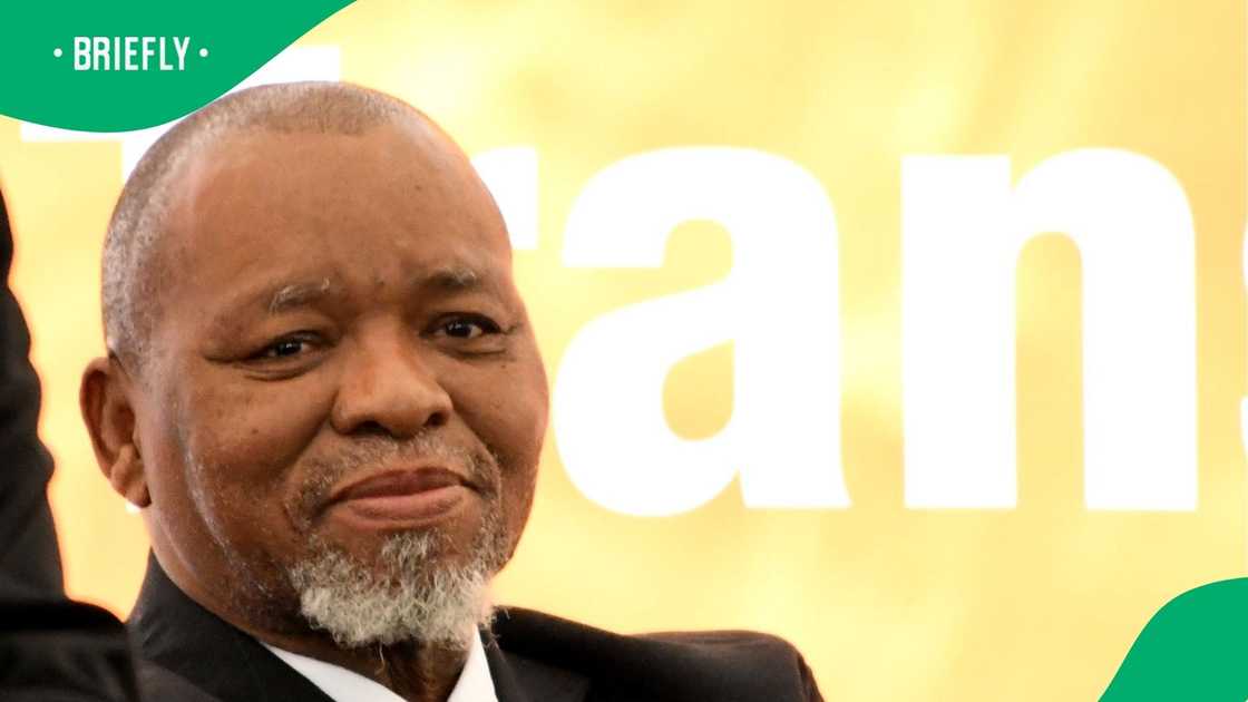 Gwede Mantashe has been appointed as the Acting Police Minister Gwede Mantashe has been appointed as the Acting Police Minister
