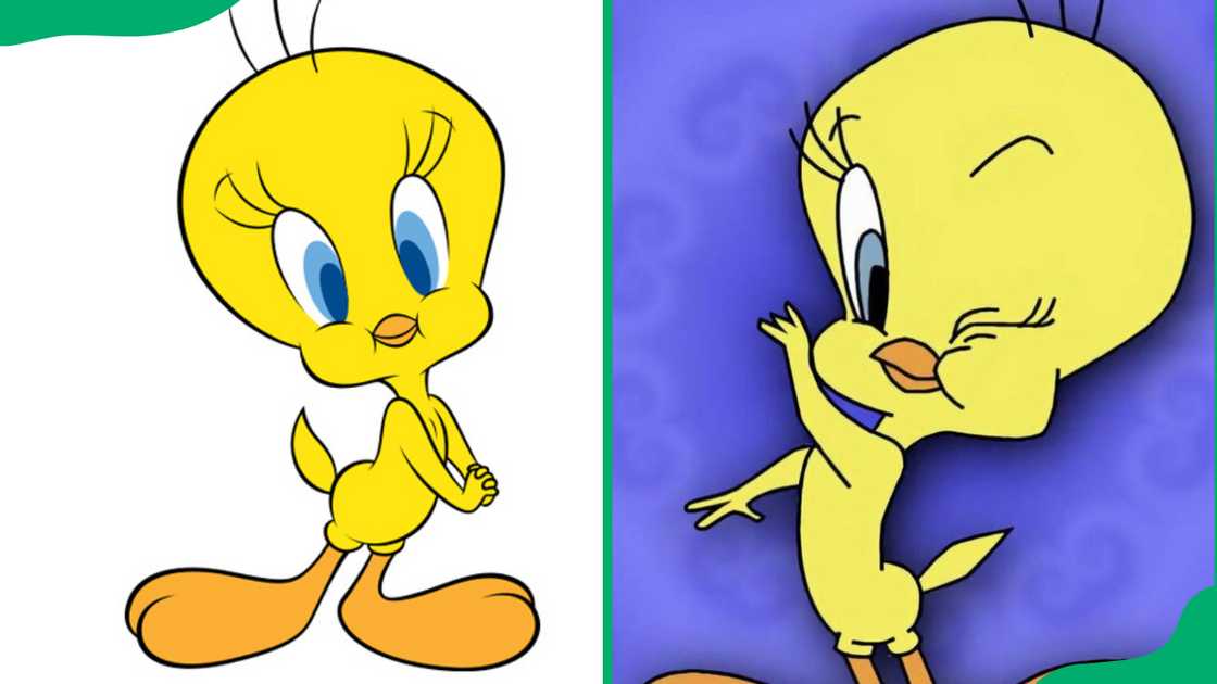 Tweety Bird from Looney Tunes.