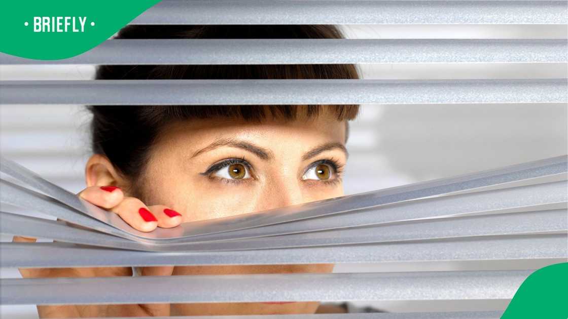 A nosy neighbour was captured spying A nosy neighbour was captured spying