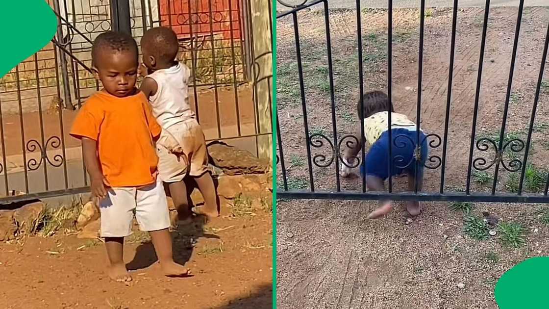 A TikTok video shows two toddlers escaping their home through the gate.