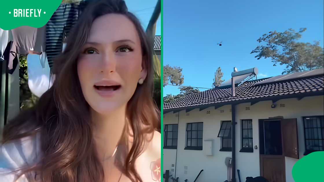 American woman in Harare shares candid truth about life in Zimbabwe American woman in Harare shares candid truth about life in Zimbabwe