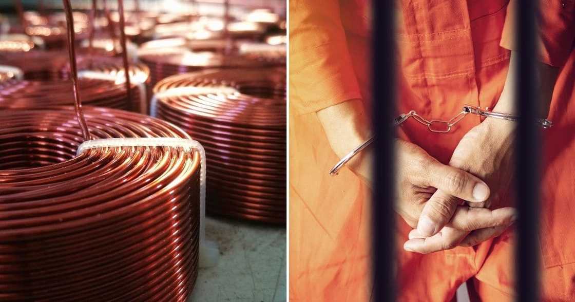 twelve, Zimbabwean, nationals, in court, foiled robbery, transport, company, Benoni, bail application twelve, Zimbabwean, nationals, in court, foiled robbery, transport, company, Benoni, bail application