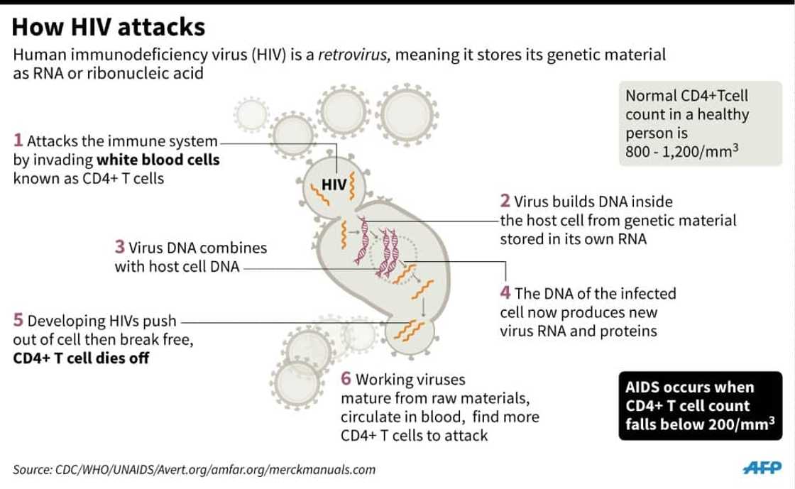 How HIV attacks How HIV attacks