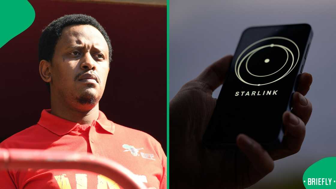 The EFF doesn't want Starlink in the country The EFF doesn't want Starlink in the country