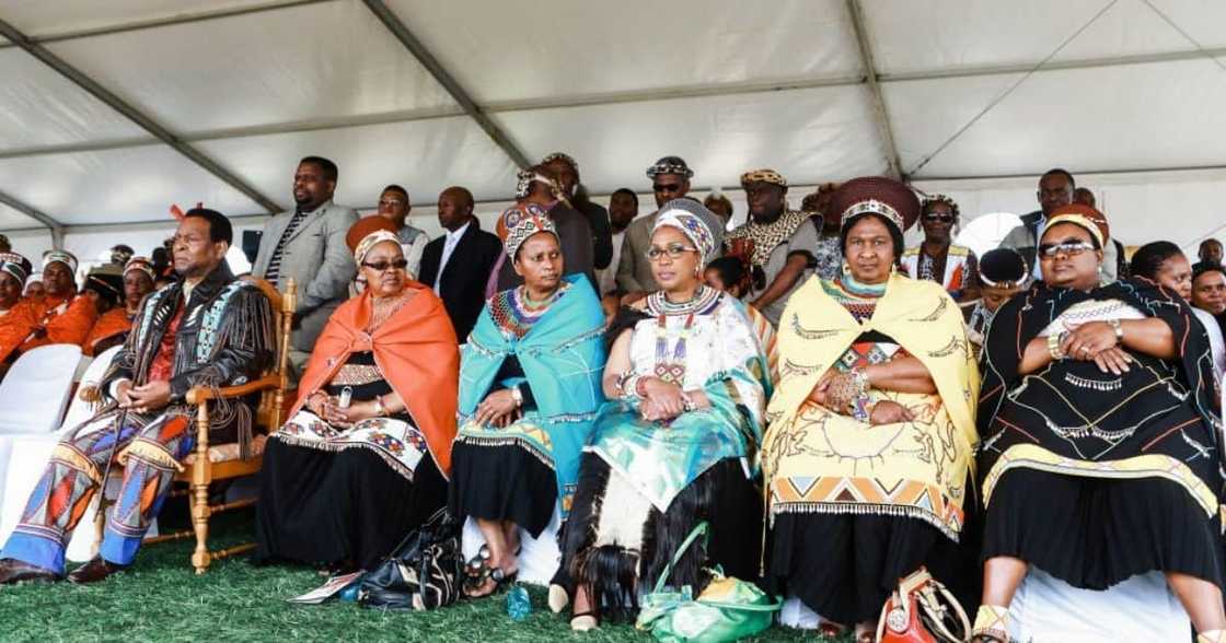 King Goodwill Zwelithini, Zulu king, Zulu queens, Sihle Zikalala, KZN, Kwa-Zulu Natal provincial government, South Africa, corruption King Goodwill Zwelithini, Zulu king, Zulu queens, Sihle Zikalala, KZN, Kwa-Zulu Natal provincial government, South Africa, corruption
