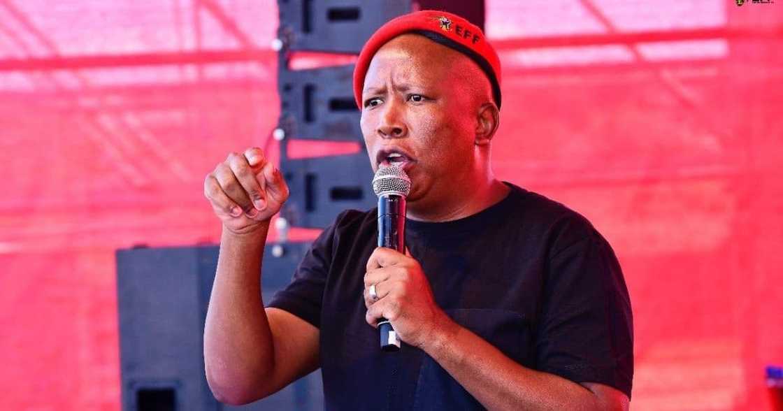EFF, labour union, Workers day rally, Julius Malema, Middleburg EFF, labour union, Workers day rally, Julius Malema, Middleburg