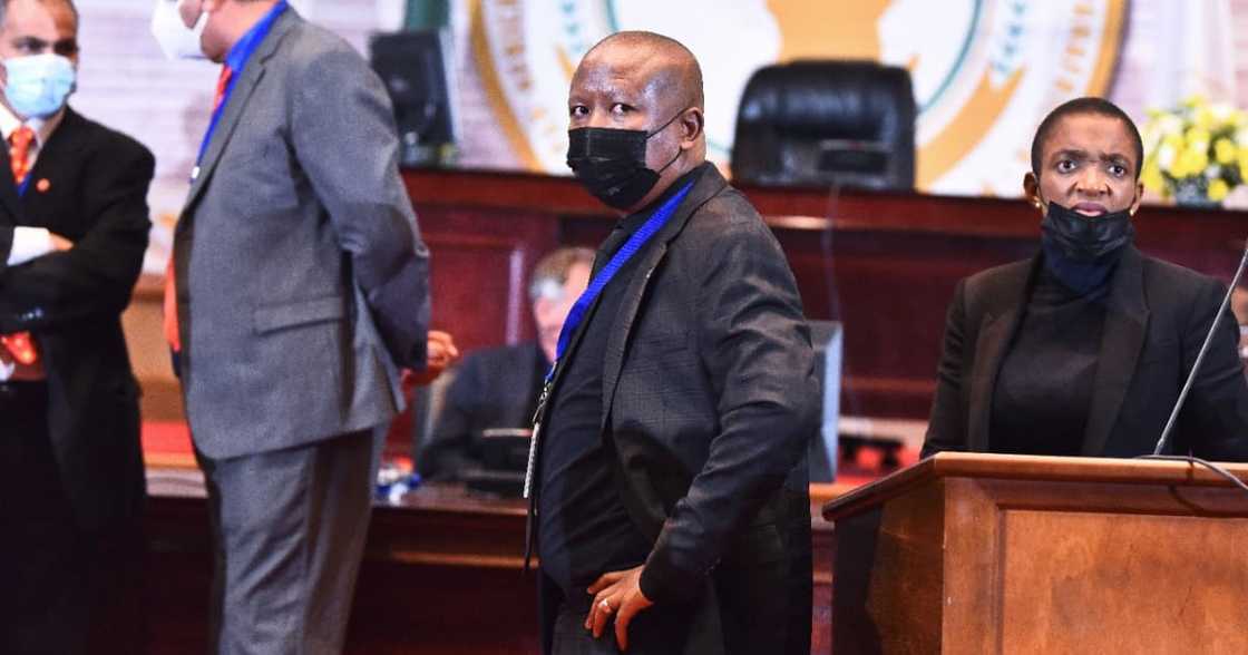 "Malema, Shame": CIC Shoved Violently at Pan African Parliament, Does Not Retaliate "Malema, Shame": CIC Shoved Violently at Pan African Parliament, Does Not Retaliate
