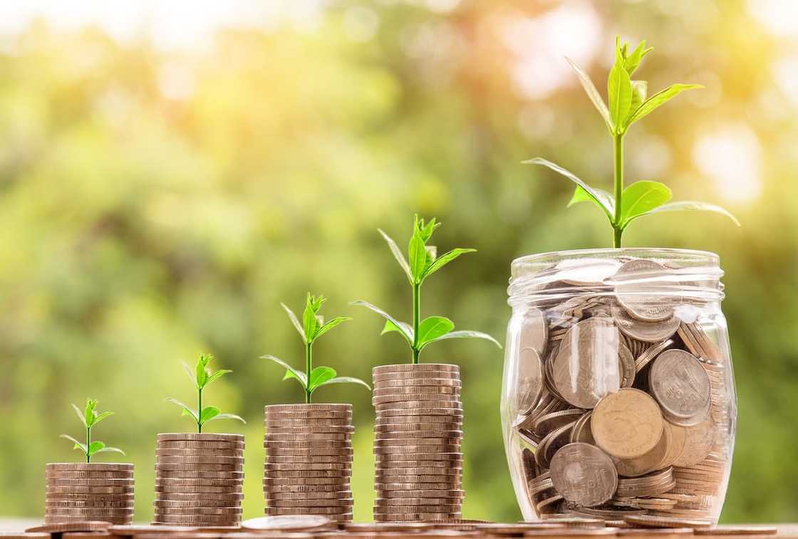 How to start a small business in South Africa without money How to start a small business in South Africa without money