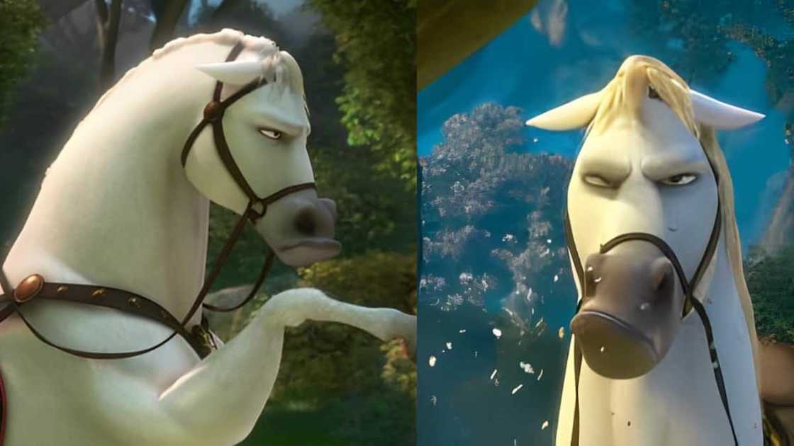 Maximus from Disney's Tangled Maximus from Disney's Tangled