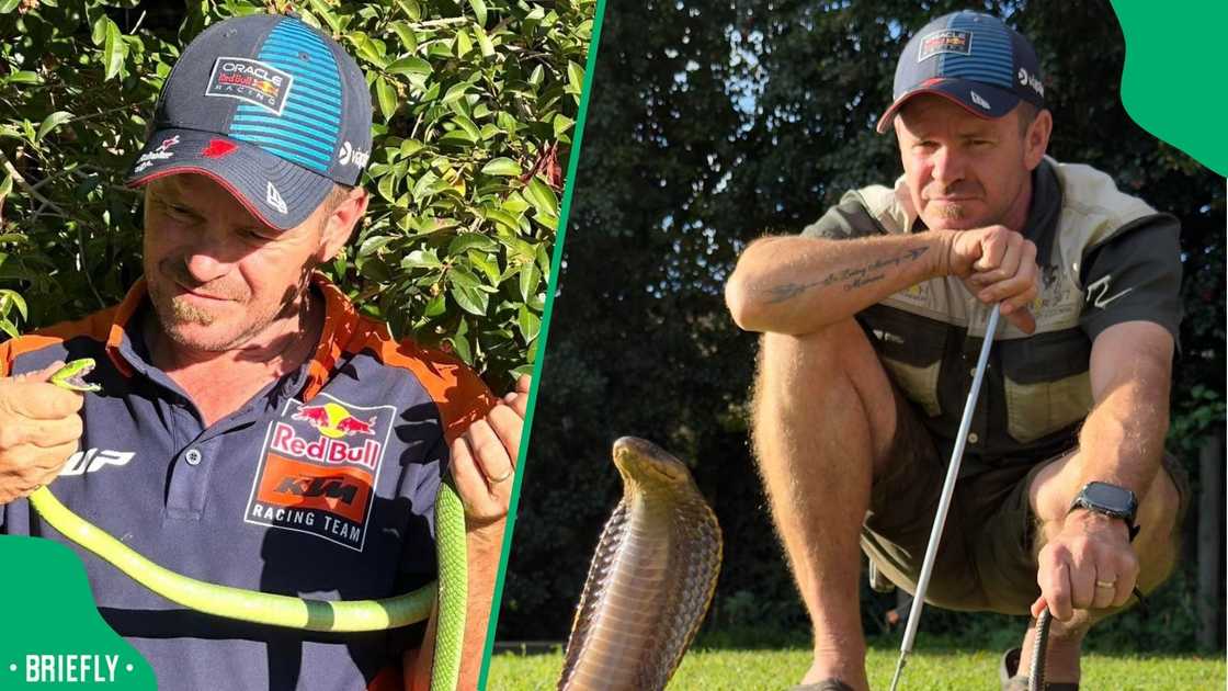 A snake catcher showed off an enormous snake. A snake catcher showed off an enormous snake.