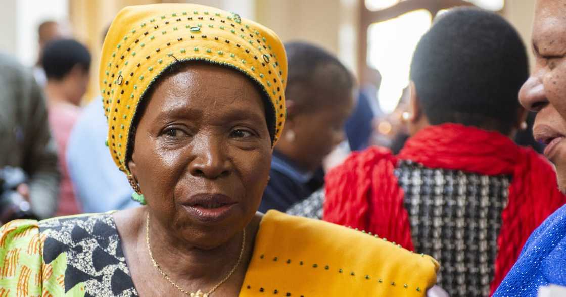 Nkosazana Dlamini Zuma's contempt court ruling to take place Friday Nkosazana Dlamini Zuma's contempt court ruling to take place Friday