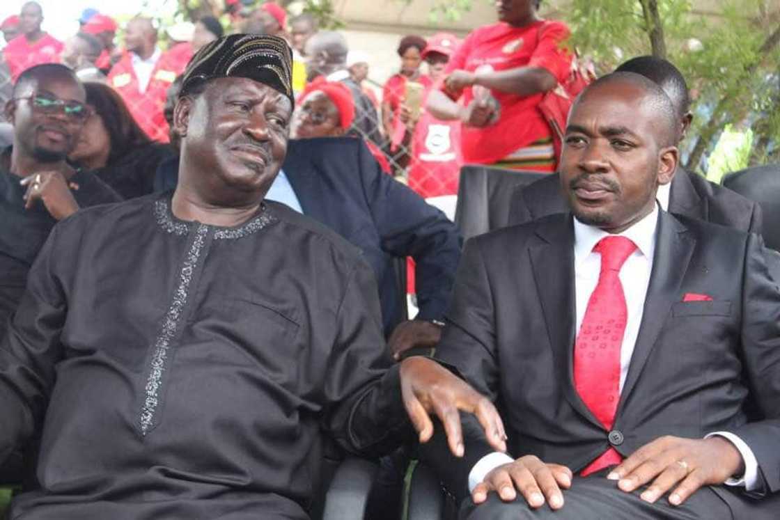 nelson chamisa latest news nelson chamisa latest news