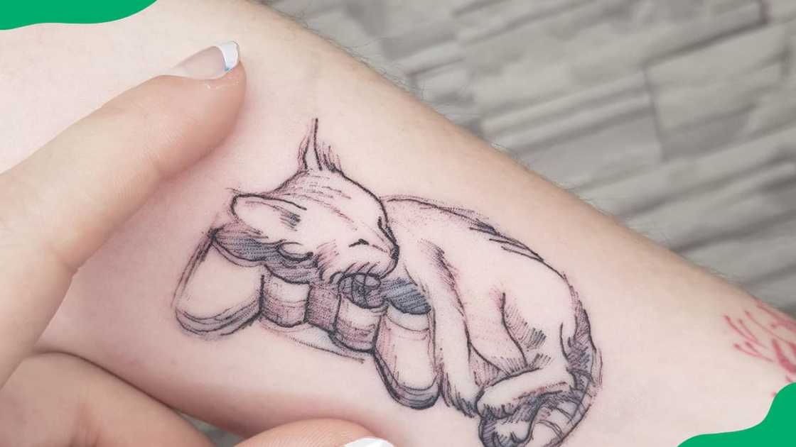 Sleeping cat tattoo