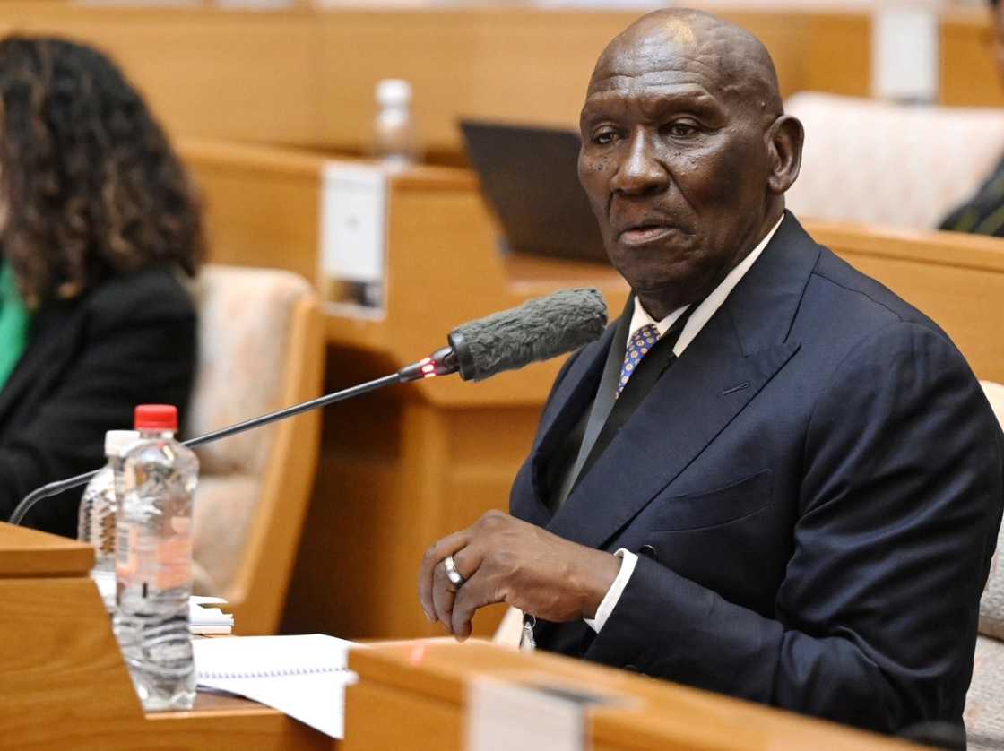 Bheki Cele testified about Cat Matlala at the Ad Hoc Committee