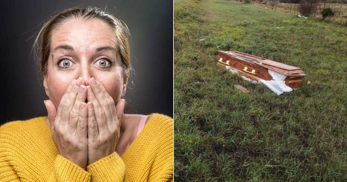 South Africans, in Disbelief, React, Pic, Coffin, Along N1, Funeral South Africans, in Disbelief, React, Pic, Coffin, Along N1, Funeral