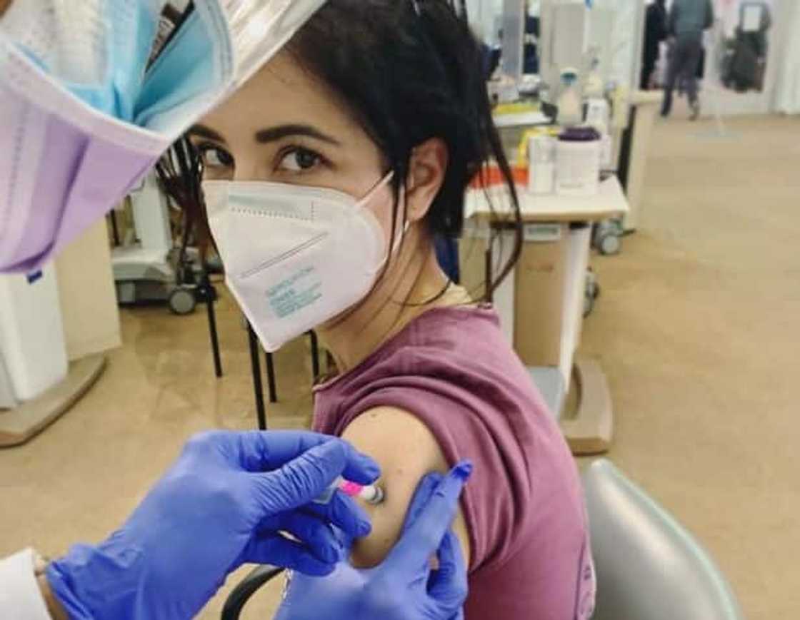 Dana Delorenzo Dana Delorenzo