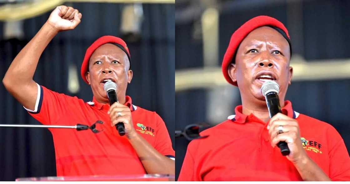 Malema divides South Africa: Demands apology for ‘previous racial injustices’ Malema divides South Africa: Demands apology for ‘previous racial injustices’
