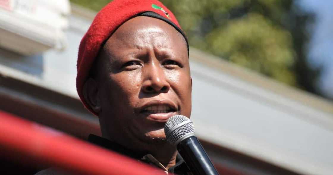 EFF, Leader, Julius Malema, Defeat, Local government elections, Charismatic, Politician, Party, Coalition, ANC, National vote, Parliament, Expropriation of land EFF, Leader, Julius Malema, Defeat, Local government elections, Charismatic, Politician, Party, Coalition, ANC, National vote, Parliament, Expropriation of land