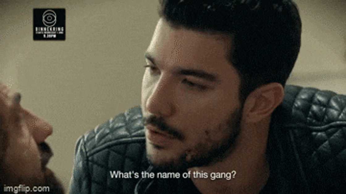 'Die Binnekring', Kaan, Cagatay, Chihangir, The circle 'Die Binnekring', Kaan, Cagatay, Chihangir, The circle