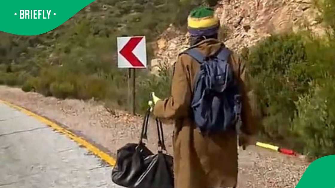 Man rescues cobra and released it in video Man rescues cobra and released it in video